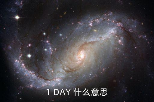 天天發(fā)1天期什么意思，1 DAY 什么意思