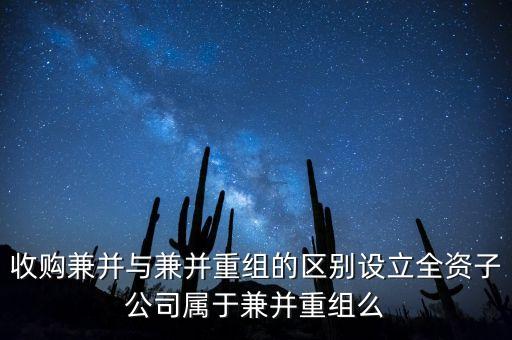 新設(shè)立子公司算什么合并，新設(shè)立1全資子公司算同1控制下合并