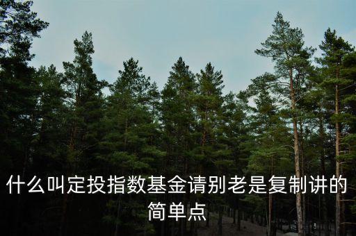 什么叫定投指數(shù)基金請別老是復制講的簡單點