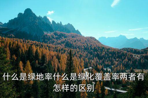 上海綠地與大象有什么關系，上海被譽為都市休閑森林的綠地是哪塊