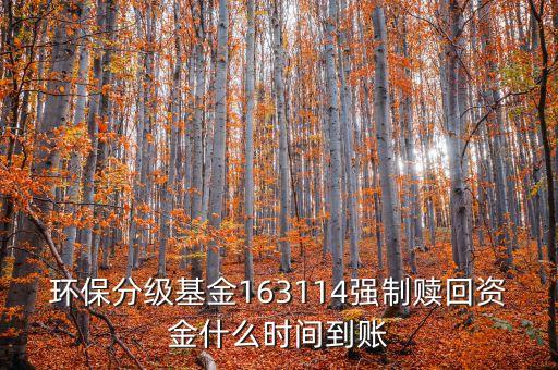 163114什么時(shí)候開盤，163114是個(gè)什么玩意啊賣也賣不出