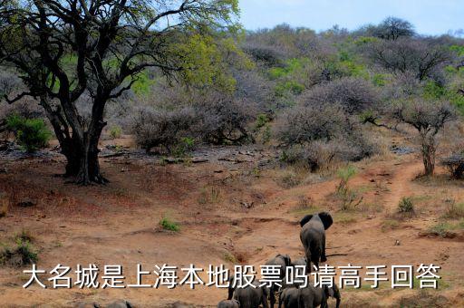 大名城是上海本地股票嗎請高手回答