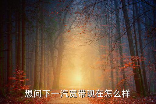 想問(wèn)下一汽寬帶現(xiàn)在怎么樣