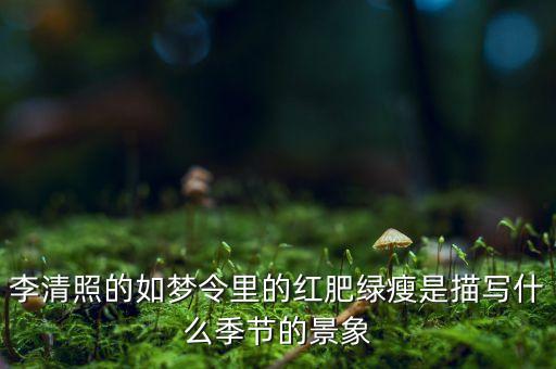 李清照的如夢(mèng)令里的紅肥綠瘦是描寫什么季節(jié)的景象