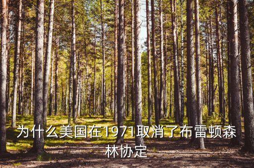 什么取代了布雷頓森林體系，布雷頓森林體系的產(chǎn)生說(shuō)明了