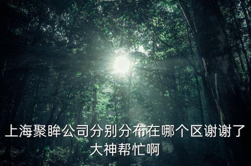 上海聚眸公司分別分布在哪個區(qū)謝謝了大神幫忙啊