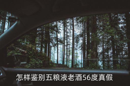 怎樣鑒別五糧液老酒56度真假