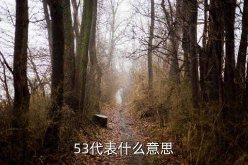 發(fā)紅包53代表什么意思，53代表什么意思