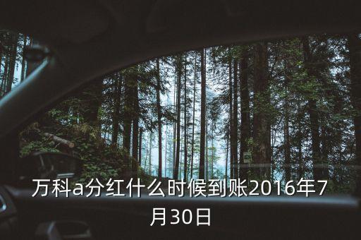 利君2016年的分紅什么時(shí)候到帳，2016年十二月以后垮行轉(zhuǎn)賬最遲多久到帳