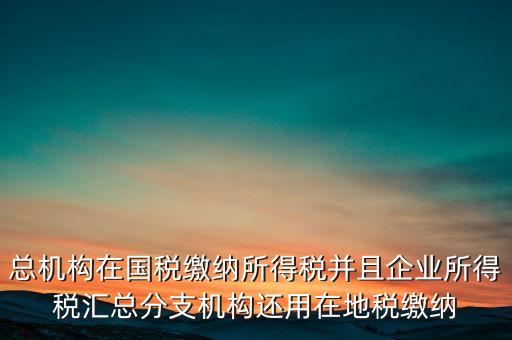 總機(jī)構(gòu)在國(guó)稅繳納所得稅并且企業(yè)所得稅匯總分支機(jī)構(gòu)還用在地稅繳納