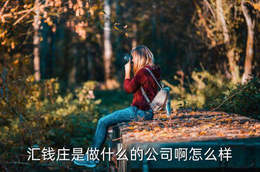 匯錢(qián)莊是做什么的公司啊怎么樣