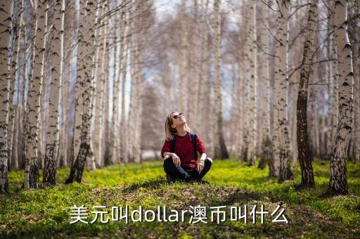 美元叫dollar澳幣叫什么