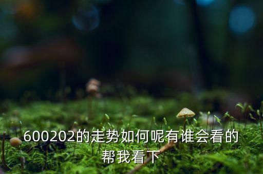 600202有什么概念，誰能幫我分析一下600202