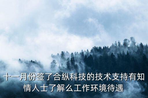 合縱科技是做什么的，合縱科技在那個(gè)開發(fā)區(qū)