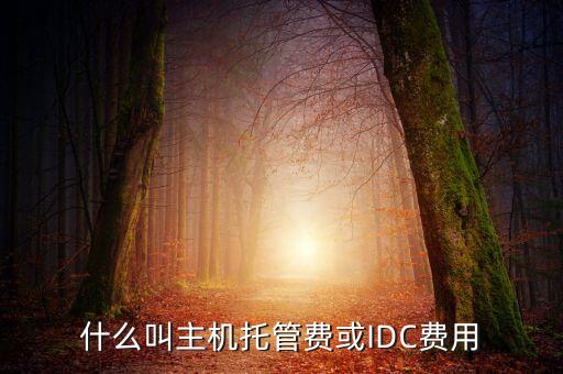 什么叫主機托管費或IDC費用