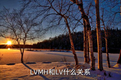 LVMH和LV什么關(guān)系