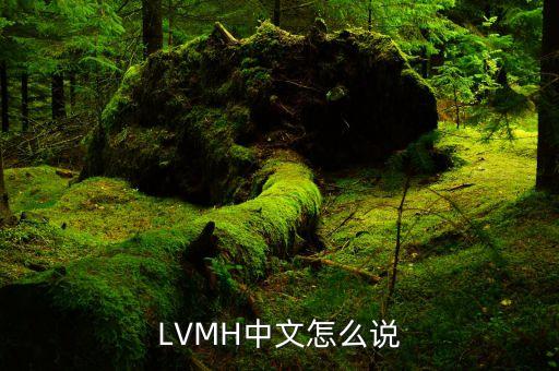 LVMH和LV是什么關系啊，LVMH是全球五百強嗎