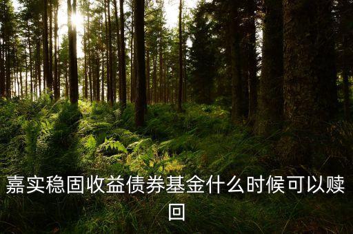 嘉實穩(wěn)固收益?zhèn)鹗裁磿r候可以贖回