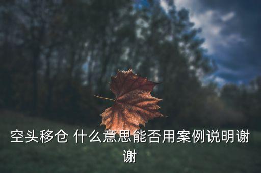 空頭移倉(cāng) 什么意思能否用案例說(shuō)明謝謝