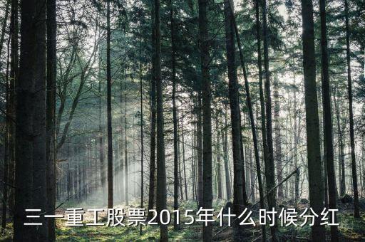 三一重工股票2015年什么時候分紅