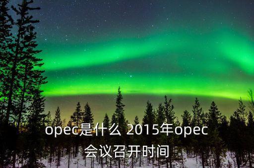 什么是opec會(huì)議，OPEC石油會(huì)議是什么時(shí)候召開啊石油價(jià)格會(huì)受影響嗎