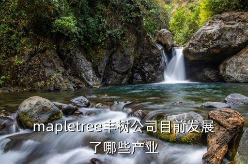 mapletree豐樹公司目前發(fā)展了哪些產(chǎn)業(yè)