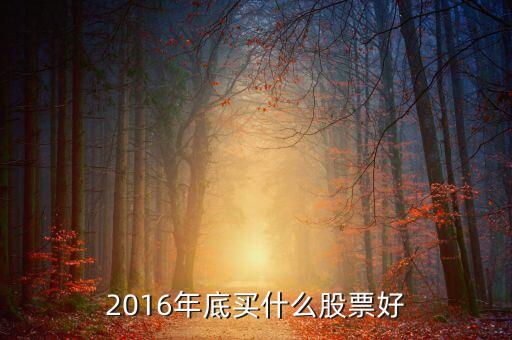 2016年底買什么股票好