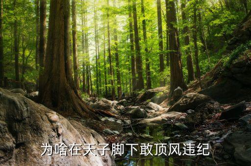 為啥在天子腳下敢頂風(fēng)違紀(jì)