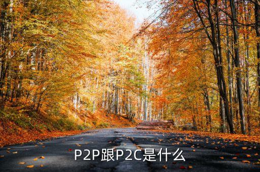 P2P跟P2C是什么