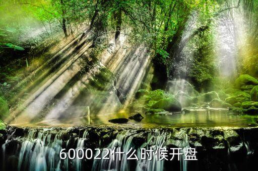 600022什么時候開盤