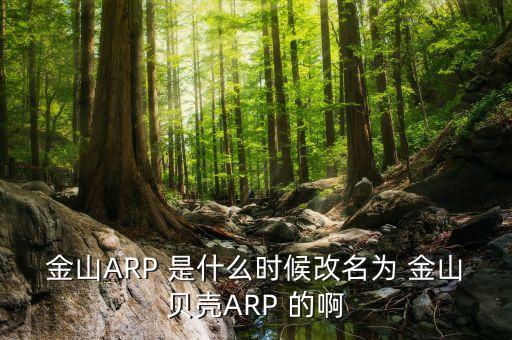 金山ARP 是什么時(shí)候改名為 金山貝殼ARP 的啊