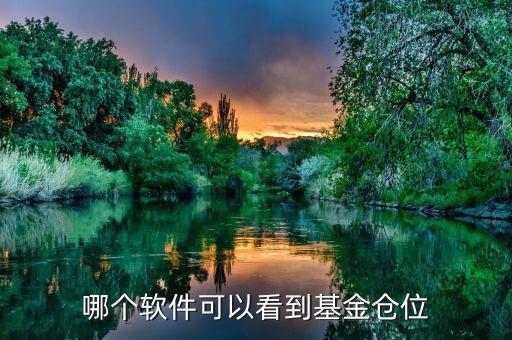 什么股票軟件看基金倉(cāng)位，從什么網(wǎng)站能夠查到基金持股倉(cāng)位