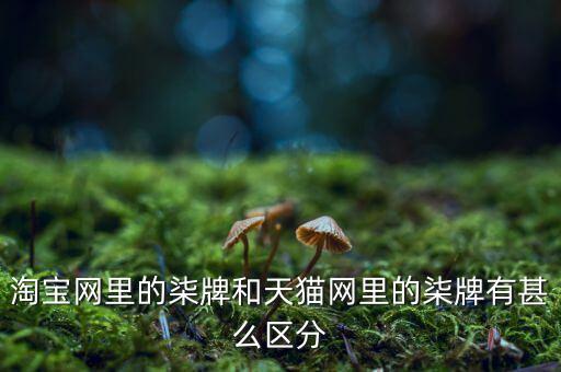 淘寶網(wǎng)里的柒牌和天貓網(wǎng)里的柒牌有甚么區(qū)分