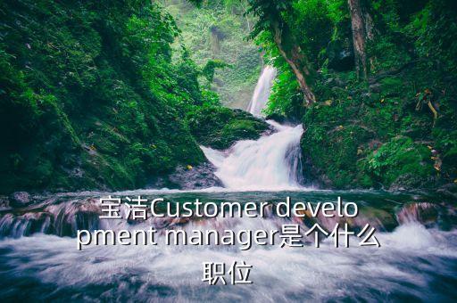 寶潔Customer development manager是個什么職位