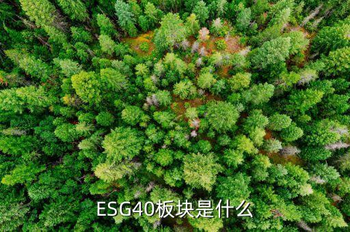 股票入選esg40是什么意思，ESG40板塊是什么