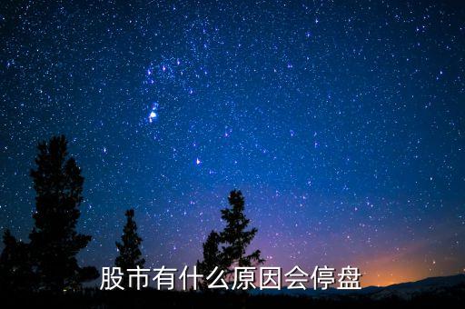 002203為什么停盤，股市有什么原因會停盤