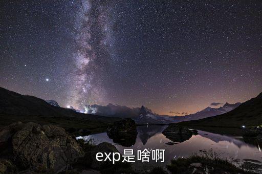 expd是什么意思，exp是啥啊