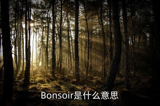 卓易云是什么，Bonsoir是什么意思