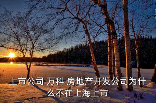 上市公司 萬科 房地產(chǎn)開發(fā)公司為什么不在上海上市