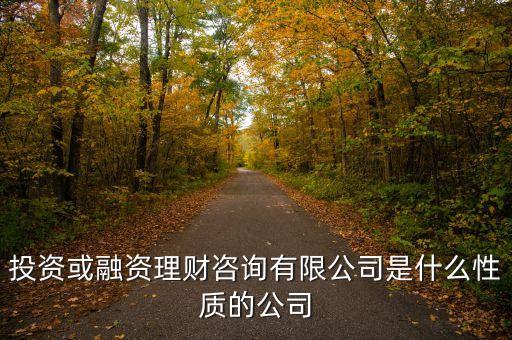 金融理財有限公司是什么性質(zhì)的，投資或融資理財咨詢有限公司是什么性質(zhì)的公司