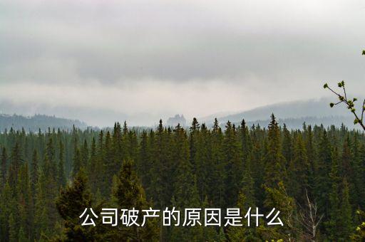 三英集團(tuán)為什么破產(chǎn)，公司破產(chǎn)的原因是什么