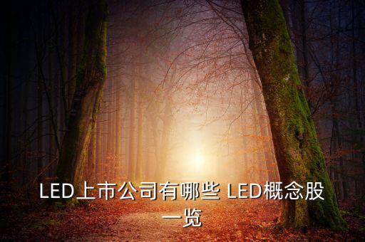 上市公司鴻什么視訊，視訊行業(yè)有哪些公司