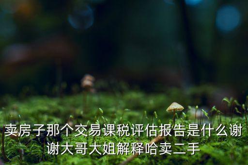 交易課稅是什么意思，名詞解釋證券交易稅