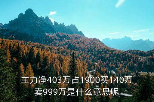 主力凈403萬占1900買140萬賣999萬是什么意思呢