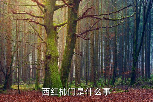 西紅柿門(mén)是什么事