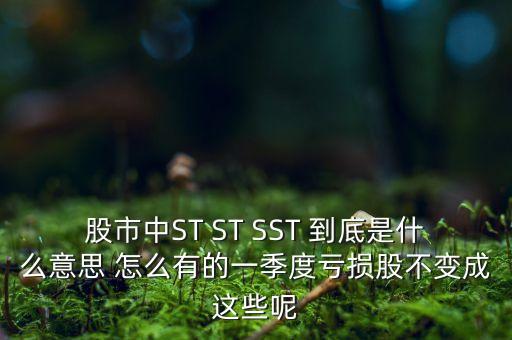 st銀山是什么公司，數(shù)量單位用st表示是什么意思