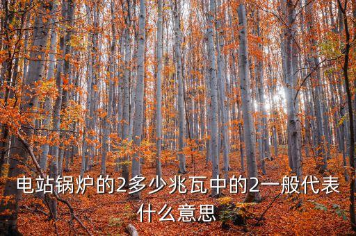 電站鍋爐的2多少兆瓦中的2一般代表什么意思