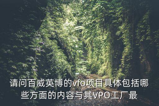 請問百威英博的vfo項目具體包括哪些方面的內(nèi)容與其VPO工廠最