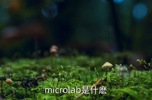 microlab是什麼