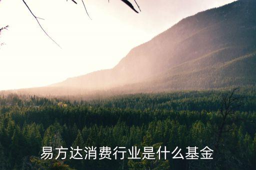 易方達(dá)消費行業(yè)是什么基金